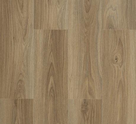 Canyon light oak
